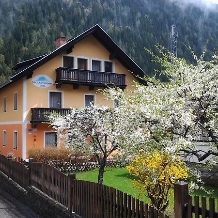 Saeuleck Appartement Inkl Skibus Mallnitz Exterior foto